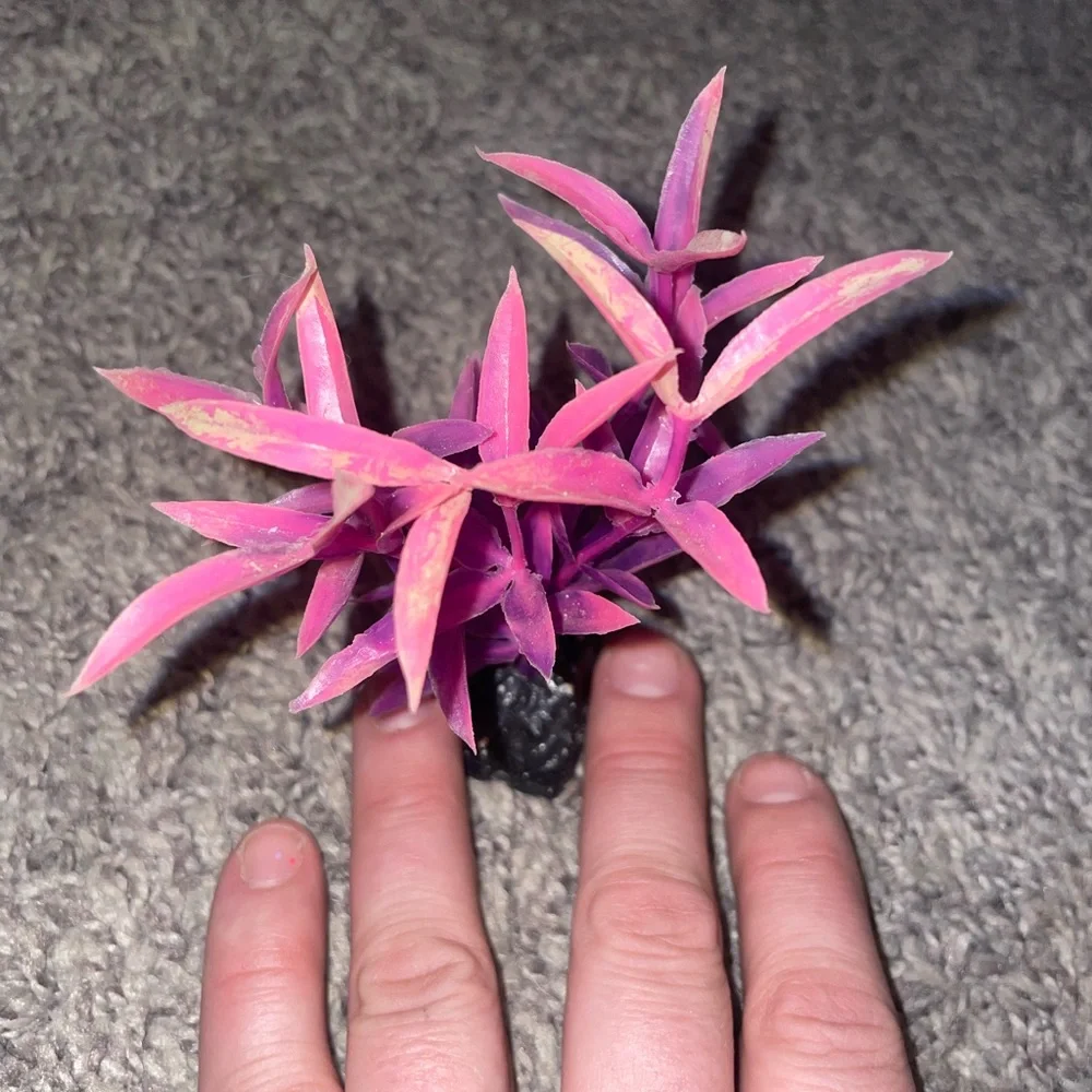 Fake aquarium plant